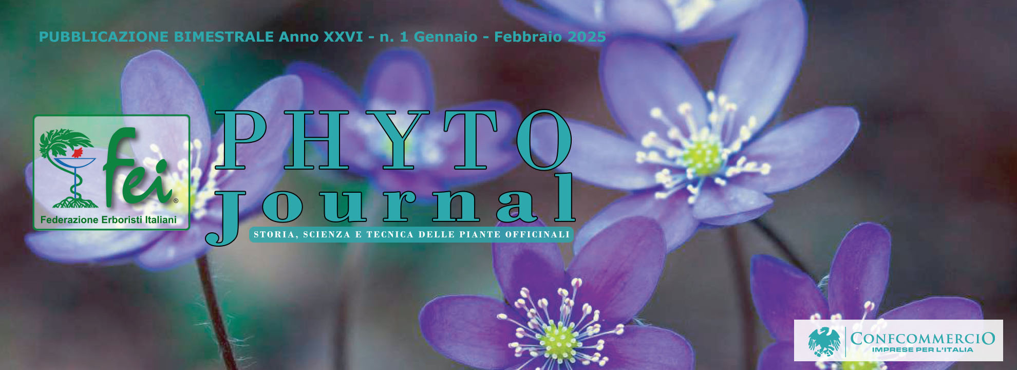 phyto-journal-n-1-2025