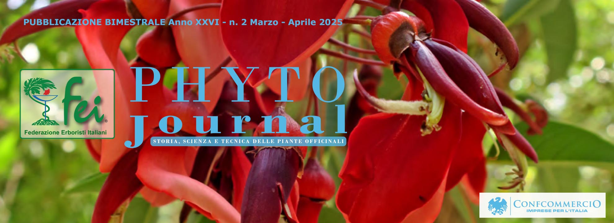 phyto-journal-n-4-2025