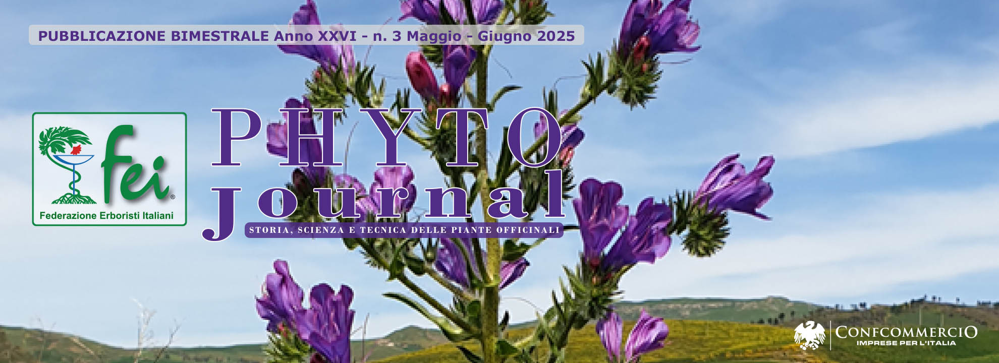 phyto-journal-n-3-2025