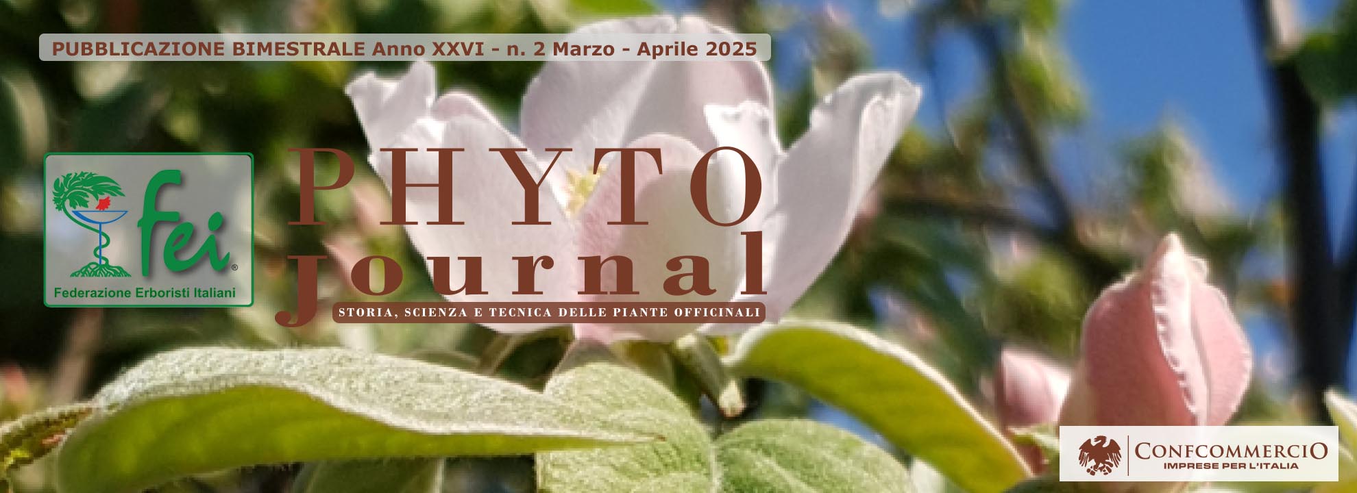 phyto-journal-n-2-2025
