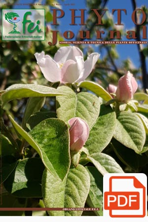pyto-journal-n2-2025