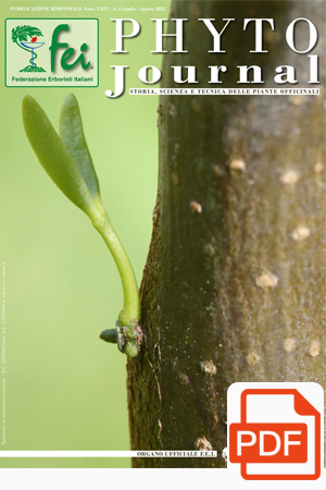 pyto-journal-n4-2023