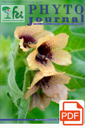 pyto-journal-n4-2024