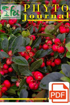 pyto-journal-n6-2024