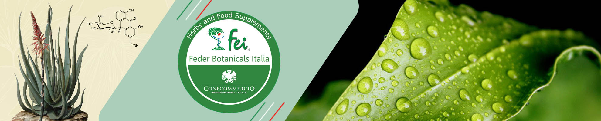 Federazione Erboristi Italiani 3